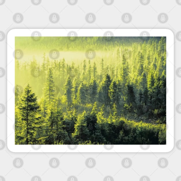 Forest Oil painting Sticker by Voodoo Production